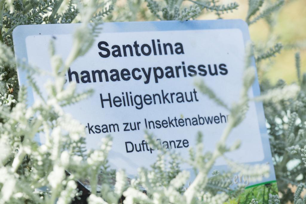 Kraeuterpension Rosenkranz Rangersdorf Exteriér fotografie